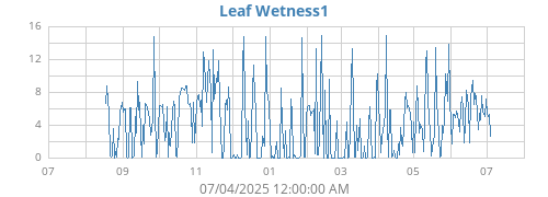 yearwetleaf